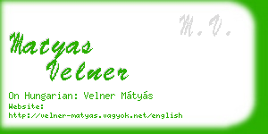 matyas velner business card